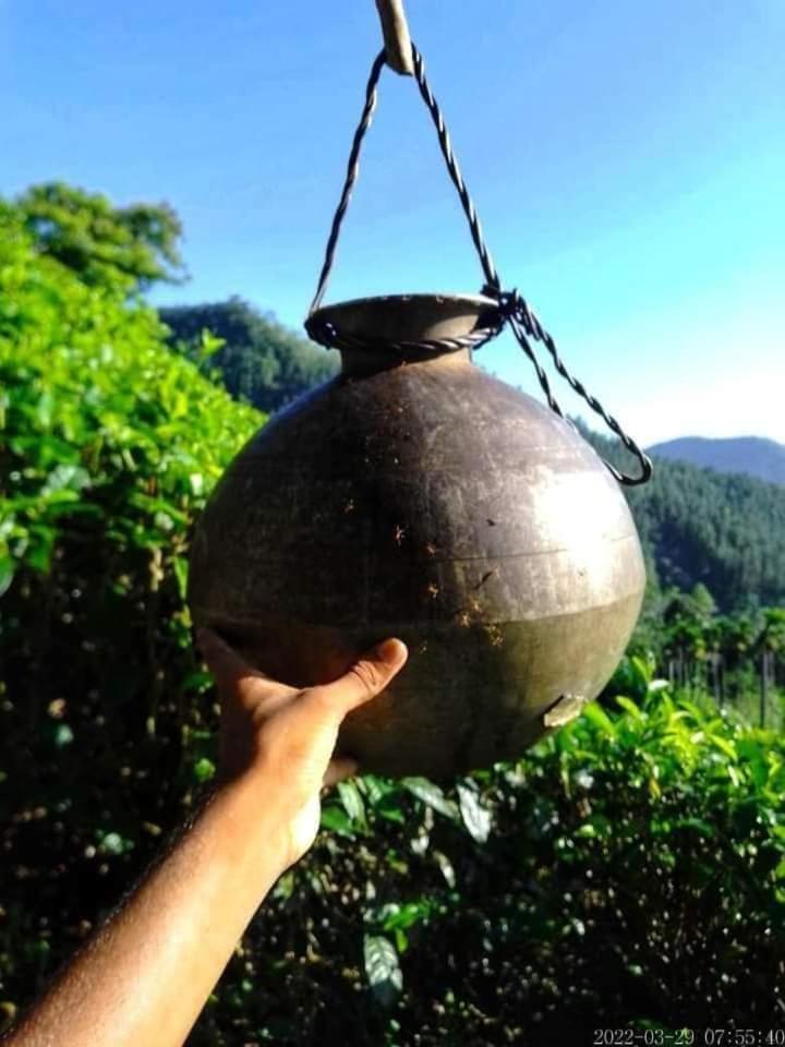 Hamadhi guest Hotel Haldummulla Bagian luar foto