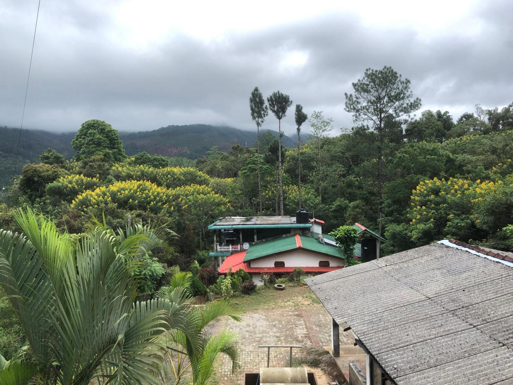 Hamadhi guest Hotel Haldummulla Bagian luar foto