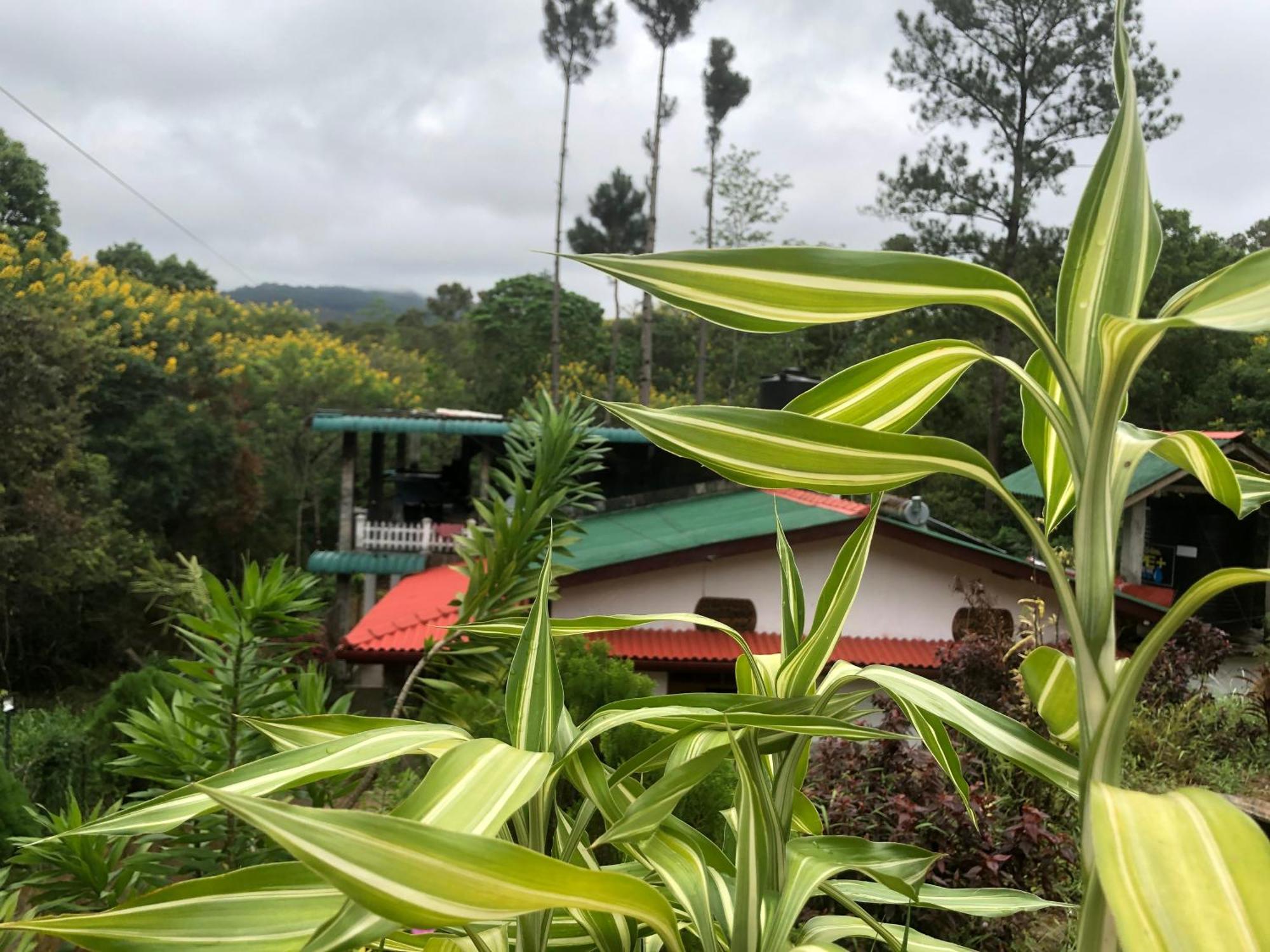 Hamadhi guest Hotel Haldummulla Bagian luar foto